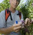 University of Cincinnati biologist Denis Conover has done extensive plant studies in Hamilton County Parks near Cincinnati, Ohio, and the Oxbow area. Here he studies a specimen at Burnet Woods.