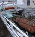 A trawl net carrying some 100 tons of Alaskan pollock is brought aboard a US vessel.