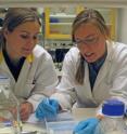 Karin Lindkvist and Maria Saline are two of the researchers who have studied how superantigens activate the immune system.