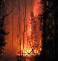 This is an image of wildfires in the Alaskan Interior. A new study reveals that climate change is causing these fires to burn more fiercely over the last decade which has resulted in an increase in greenhouse gases being pumped into the atmosphere.