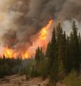 This is an image of wildfires in the Alaskan Interior. A new study reveals that climate change is causing these fires to burn more fiercely over the last decade which has resulted in an increase in greenhouse gases being pumped into the atmosphere.