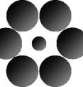 The Ebbinghaus illusion. Most people will see the first circle as smaller than the second one 
Researchers found a strong link between the surface area of the primary visual cortex and the extent to which volunteers perceived the size illusion -- the smaller the area, the more pronounced the visual illusion.