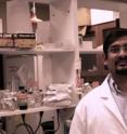 Biologist Santosh R. D'Mello, a professor at the University of Texas at Dallas, collaborated on development of compounds that show promise in protecting brain cells against nerve-degenerative diseases such as Parkinson's, Alzheimer's and Huntington's.