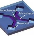 Schematic of a 2-nm nanochannel device, with two microchannels, ten nanochannels and four reservoirs.