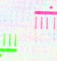 The imaged Brandenburg Gate is only a few micrometers in size. The scientists took the green and red pictures of the model merely 50 femtoseconds apart.