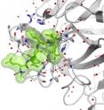 Southampton virus protease with drug synthesized by research scientists at the University of Southampton -- a viral protein never visualized before with a possible therapeutic drug blocking its mode of action.