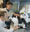 Guillaume Sandoz (seated) and Ehud Isacoff developed a unique fluorescent assay technique that enabled them to the  TREK1, a protein that could be a target for antidepressants.