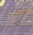 This is a false-color scanning electron microscopy image of a programmable nanowire nanoprocessor super-imposed on a schematic nanoprocessor circuit architecture.