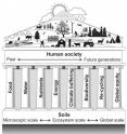 Climate change and population growth will affect soil's health and its ability to support Earth's many inhabitants.