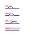 A chromosome’s broken end invades an intact DNA molecule and initiates replication that can lead to a genomic instability.