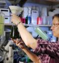 Julia Kubanek, an associate professor at the Georgia Institute of Technology, holds an extract of seaweed for study.