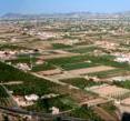 These are photographs of the Murcia farmland taken from the Cabezo de Monteagudo at the beginning of the past century and in 2008. The most important difference is the intense housing development, as well as the different type of farming: horticulture in the old photo and fruit trees in the more recent one.  In short, the photos reveal the graphic chronicle of how an agricultural landscape has become a suburban landscape.