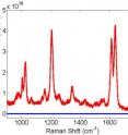 This graph shows the boosted Raman signal (red) vs. an unenhanced signal (blue). 

The Princeton sensor uses a technique known as surface enhanced Raman scattering (SERS), to enhance the signals. By using a new sensor architecture for gathering and boosting the signals, the chip is a billion times more sensitive than was possible without SERS enhancement.