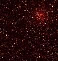 This image zooms in on a small portion of the Kepler spacecraft's field of view. It shows hundreds of stars in the constellation Lyra. Brighter stars appear white and fainter stars appear red.
