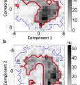 Spike distributions for neurons responding to two features can have shapes that are difficult to understand.