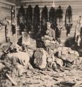 Canada's earliest industry. Colin Fraser, trader at Fort Chipweyan, sorts fox, beaver, mink & other precious furs. This photo is circa 1890s, some 20 years after the voyageurs had ceased their forays.