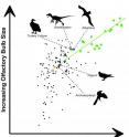 This graph shows the olfactory bulb size and body size of individual bird (black symbols) and dinosaur (green symbols) species. Similarities in olfactory bulb size and body size between species, as illustrated by the dinosaur Bambiraptor, the turkey vulture, and the albatross, suggest a comparable sense of smell.