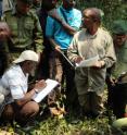 WCS researcher Deo Kujirakwinja (in center with blue shirt) trains census participants on how to collect data on gorilla nests (at the feet of the group in this image). Researchers calculate gorilla densities using nest counts and dung piles.