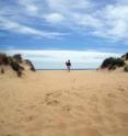 Conservation of coastal dunes is threatened by poorly designed infrastructure.