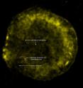 This image shows iron debris in Tycho's supernova remnant. The site of the supernova explosion is shown, as inferred from the motion of the possible companion to the exploded white dwarf. The position of material stripped off the companion star by the explosion, and forming an X-ray arc, is shown by the white dotted line. This structure is most easily seen in an image showing X-rays from the arc's shock wave. Finally, the arc has blocked debris from the explosion creating a "shadow" in the debris between the red dotted lines, extending from the arc to the edge of the remnant.