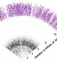 A 2-D slice through BOSS's full 3-D map of the universe to date. The black dots going out to about 7 billion light years are relatively nearby galaxies. The colored region beginning at about 10 billion light years is intergalactic hydrogen gas; red areas have more gas and blue areas have less. The blank region between is inaccessible to the Sloan Telescope, but the proposed BigBOSS survey would be able to observe it.