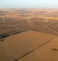 This is a large wind farm in northern Indiana.