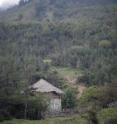 The Chinese government is using economic incentives to encourage farmers to convert millions of acres of steeply sloping cropland back to forest or grassland.