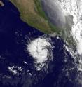 This infrared image of Tropical Storm Adrian was taken from the GOES-11 satellite on June 8 at 12:00 UTC (8:00 a.m. EDT) and shows a compact, rounded storm off the western Mexico coast. The image reveals that Adrian has some higher, stronger thunderstorms in the center that are casting shadows on lower clouds around them.