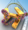 The spatial freedom afforded the 3-D plasmon ruler's five nanorods enable it to measure the direction as well as the magnitude of structural changes in a macromolecule sample.