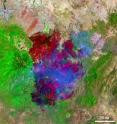 This Landsat 5 satellite image of the Wallow North Fire in east central Arizona was taken on June 15, 2011 at 19:54:23 Zulu (3:54 p.m. EDT). This false-colored image uses a 7, 4, 2 band combination and shows the burn scar in red the fire ongoing in really bright red, vegetation is green, smoke is blue and bare ground is tan.