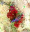 This Landsat 5 satellite image of the Horseshoe 2 Fire in southeastern Arizona was taken on June 15, 2011 at 19:54:23 Zulu (3:54 p.m. EDT). This false-colored image uses a 7, 4, 2 band combination and shows the burn scar in red the fire ongoing in really bright red, vegetation is green, smoke is blue and bare ground is tan.