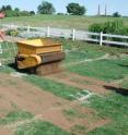 This image shows sand topdressing being applied to research plots at one-quarter inch topdressing depth.