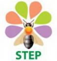 The STEP Project's logo.