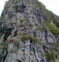 Steve Perlman collects <i>Oxalis simplicifolia</i> on cliff, Ua Huka, Marquesas Islands.