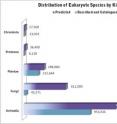 This shows the distribution of species by kingdom.