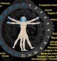 The circadian clock illustrates the many diseases that manifest in a person during certain times of the day.