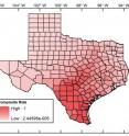 A composite risk map for Chagas disease in Texas. According to Sarkar's analysis eleven counties are at particular risk: Bee, Bexar, Brooks, Cameron, DeWitt, Goliad, Hidalgo, Jim Wells, Kenedy, Kleberg, and Nueces.