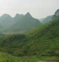 The research team analyzed carbonate rock samples collected from the Dawen Permian-Triassic boundary section located on the Great Bank of Guizhou, a carbonate platform in China's Guizhou Province. Uranium isotopes measured in these ancient rocks showed that the world's oceans experienced a rapid shift toward strongly oxygen-deficient conditions at the time of the end-Permian mass extinction.