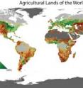 This is a global  map showing how agricultural lands are distributed.