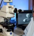 This is Florida State University cell biologist Tom Roberts.