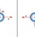Two types of neutron decay produce a proton, an electron and an electron antineutrino but eject them in different configurations, The experiments at NIST detected no imbalance, but the improved sensitivity could help place limits on competing theories about the matter-antimatter imbalance in the universe.