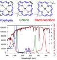 Nature provides three starting points for the design of synthetic pigments: porphyrin, chlorin, and bacteriochlorin. Each of these macrocyles has an alternating double-bond pathway (in blue) that gives the molecule its basic electronic properties, including the ability to absorb visible or near infrared light. Hemoglobin is a porphyrin that lends blood its red color; chlorophyll, the pigment in green plants, is a chlorin; and the pigments in purple photosynthetic bacteria are bacteriochlorins. As the color-coded absorption spectra show, the three types of pigments absorb different colors of sunlight (brown).