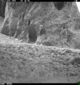 A pair of poachers seem to follow an ibex that passed through less than half an hour before. Unsustainable hunting is a threat to many of Afghanistan’s wildlife.