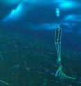 The image shows a SeaFET pH sensor deployed underneath approximately 12 feet of sea ice in McMurdo Sound, Ross Island, Antarctica, in Oct. 2010. Scientists use these sensors to identify the natural dynamics of ocean pH in order to better understand how marine organisms may be impacted by climate change. The black object is the sensor, which is anchored to the ocean bottom using weights. Along the ocean bottom, worms and sea stars are visible.