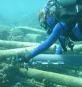 UCSB graduate student Emily Rivest positions a SeaFET pH sensor in a coral reef off the island of Moorea, in French Polynesia. The large cement posts once held up a pier that toppled over the reef; one of the fallen posts provides an anchor for the sensor. The grey bottle is used to collect seawater samples for chemical analyses that augment the pH data. The reefs surrounding the island of Moorea are home to UCSB's Coral Reef Long-Term Ecological Research site (MCR LTER).