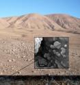 Microbes grow in salt crystals below the Atacama Desert.