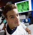 The understanding of diseases such as Parkinson's and Alzheimer's is set to take a step forward following groundbreaking technology which will enable cell analysis using automated 3D microscopy. An initiative between the Griffith's School of Information Communication Technology and the Eskitis Institute for Cellular and Molecular Biology, the technology will allow the automated identification, separation and analysis of cells as complex as nerve cells in the brain. 

Photo shows PhD candidate Gervase Tuxworth who is involved with the technology.