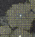 This is a scanning transmission electron microscopy image of an organic thin film deposited on a silicon nitride membrane. Yellow arrows indicate the lattice orientation of each crystalline domain. Green circles mark polycrystalline areas.