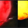 Three types of systems, illustrated here, may host Type Ia supernovae. The first two panels depict a white dwarf in a binary system accumulating matter transferred from a red supergiant companion many times the sun's mass (left) or similar to the sun (middle). The transferred matter is thought to accumulate on the white dwarf and ultimately cause it to explode. Swift data on dozens of supernovae essentially eliminate the first model. Mounting evidence suggests that some Type Ia supernovae occur when binary white dwarfs (right) merge and collide.