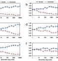 This shows the average level of cooperation over 10,000 generations of evolution. The blue lines represent cooperation between similar pairs, and the red line cooperation between dissimilar pairs. Each of the six panels is a different strategic structure, starting with (a) Prisoner's Dilemma.